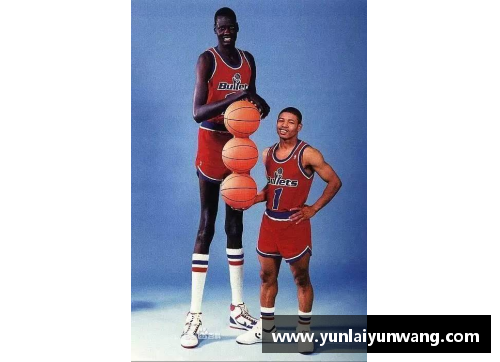 南宫NG28相信品牌力量有限公司NBA球员身高分析：从土豆到巨人，身高对比及其对篮球技术的影响 - 副本